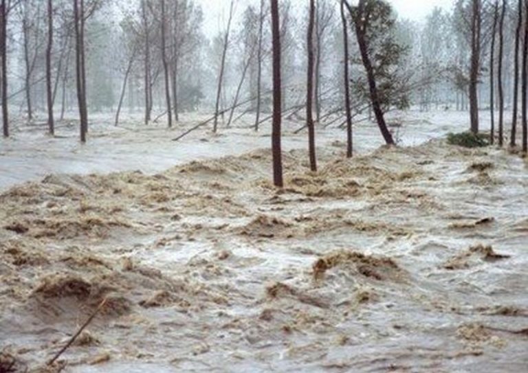 Fiumi di acqua e fango stanno trascinando persone e auto. Situazione critica, ci sono danni ingenti, video live dal Pakistan Fiumi di acqua e fango stanno trascinando persone e auto. Situazione critica, ci sono danni ingenti, video live dal Pakistan