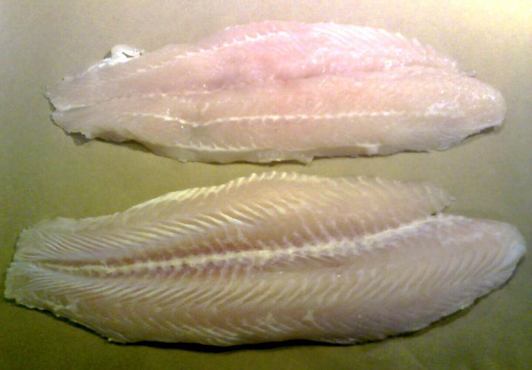 Questo pesce è pericoloso per la salute: devi smettere di mangiarlo subito, ecco perché Questo pesce è pericoloso per la salute: devi smettere di mangiarlo subito, ecco perché