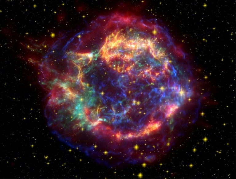 L’esplosione di una supernova potrebbe aver causato un’estinzione di massa 359 milioni di anni fa