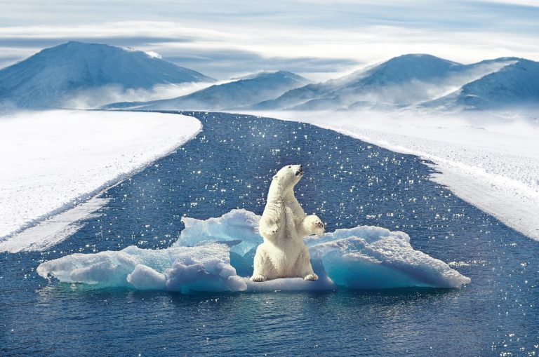 Cambiamenti climatici, la situazione è preoccupante. Il livello del mare potrebbe innalzarsi di oltre 2 metri: ecco lo studio