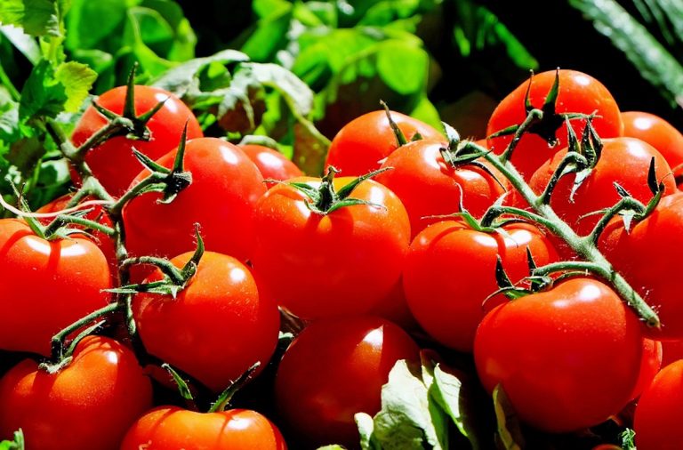 Mangiare pomodori abbassa il colesterolo: ecco come