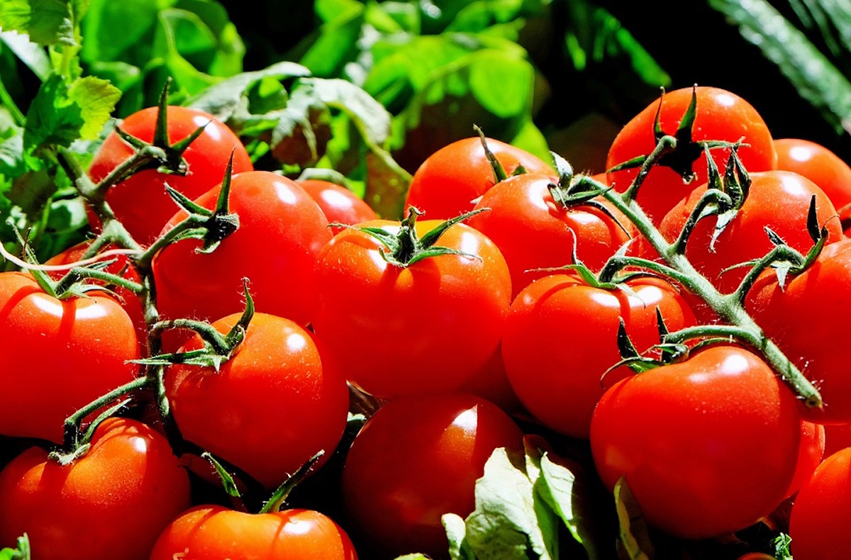 colesterolo pomodori
