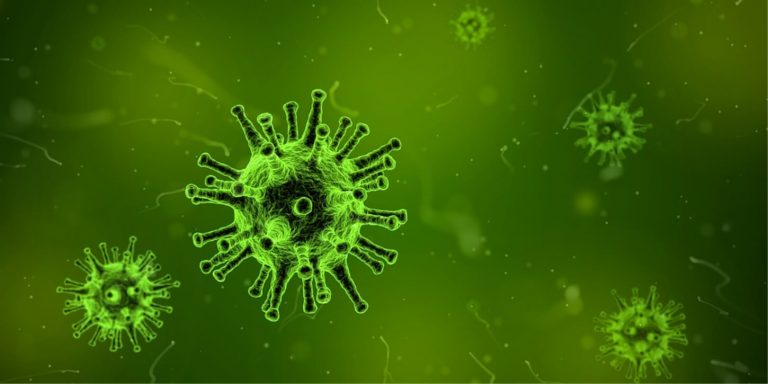 Il nuovo terribile virus dell’influenza sta spaventando la popolazione: ci sono molti morti. Ecco i consigli che sono stati diffusi in Cile Il nuovo terribile virus dell’influenza sta spaventando la popolazione: ci sono molti morti. Ecco i consigli che sono stati diffusi in Cile