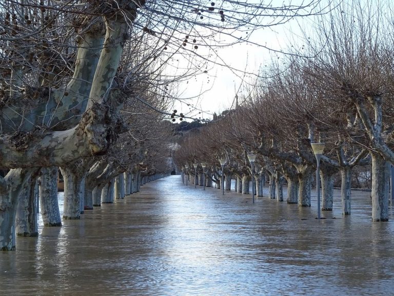 Piogge alluvionali stanno distruggendo abitazioni e automobili. Ci sono danni gravissimi ed evacuazioni in corso. Video/live dal Regno Unito
