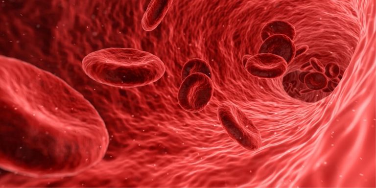Coaguli e anemia, ecco i sintomi da tenere sotto controllo con attenzione Coaguli e anemia, ecco i sintomi da tenere sotto controllo con attenzione