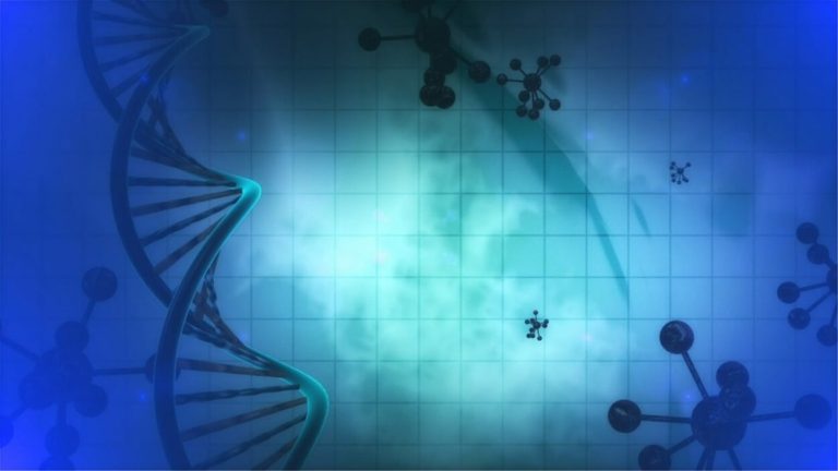 Parkinson, scoperti nel cervello i primi segni della malattia