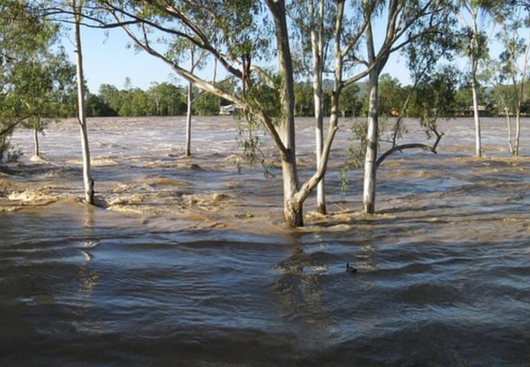 Gravi inondazioni stanno causando danni ingentissimi: case e auto travolte da acqua e fango. Situazione ancora difficile in Messico
