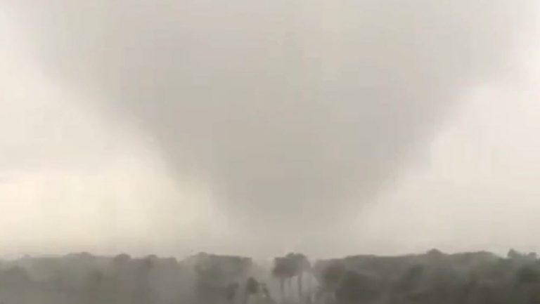 Spaventoso tornado si abbatte su Milano Marittima: alberi volati via e danni ingenti. Video Spaventoso tornado si abbatte su Milano Marittima: alberi volati via e danni ingenti. Video
