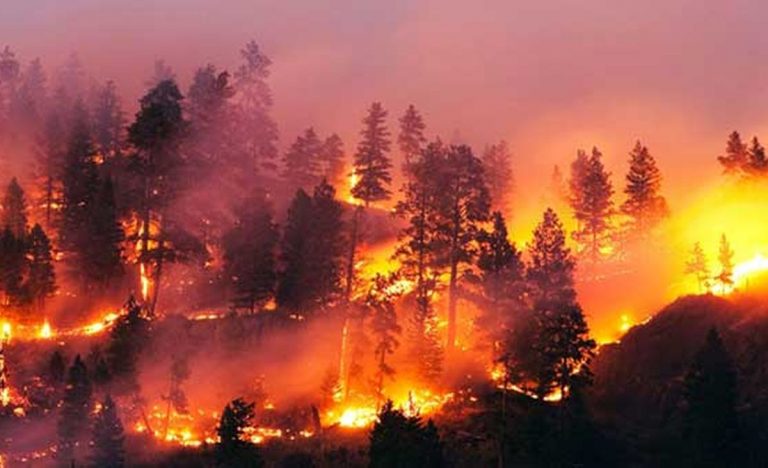 Gigantesco incendio sta minacciando le abitazioni: ci sono Vigili del Fuoco a lavoro e persone evacuate in Turchia. Video Gigantesco incendio sta minacciando le abitazioni: ci sono Vigili del Fuoco a lavoro e persone evacuate in Turchia. Video