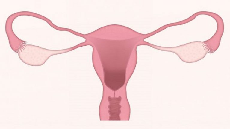 Menopausa, se stai avendo questi sintomi puoi riconoscerla subito
