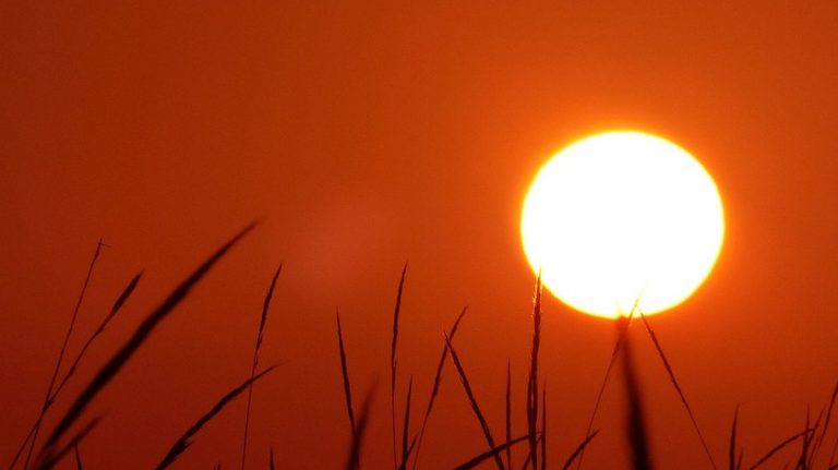 Eccezionale ondata di caldo: oltre 200 milioni di persone colpite. Si temono dei gravi disagi alla popolazione negli USA Eccezionale ondata di caldo: oltre 200 milioni di persone colpite. Si temono dei gravi disagi alla popolazione negli USA