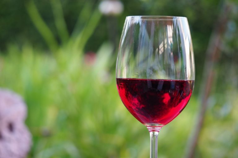 Vino rosso, bevuto con moderazione può apportare benefici all’intestino