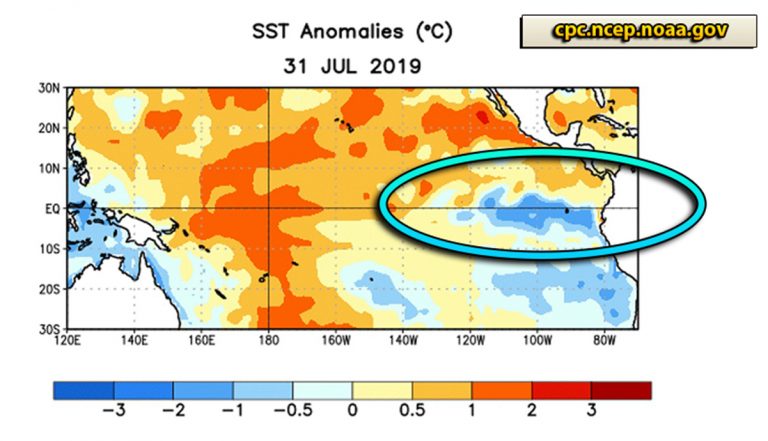 El Niño: condizioni neutrali nel Pacifico, parametri sotto la soglia di allerta