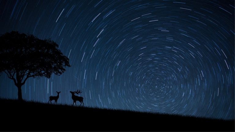 Notte stelle cadenti 2019, ecco quando ci sarà il picco. Orario e come osservare le meteore