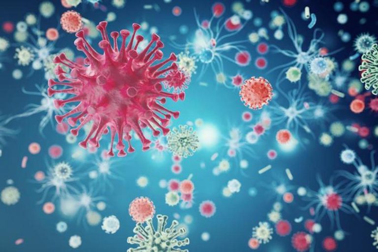 Ecco Powassan, il terribile virus che spaventa il mondo: i sintomi e come si viene contagiati