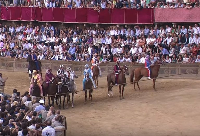 Palio di Siena 16 agosto 2019, contrade partecipanti, possibili accoppiamenti e statistiche Palio di Siena 16 agosto 2019, contrade partecipanti, possibili accoppiamenti e statistiche