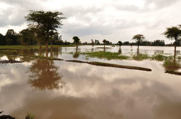 Piogge alluvionali e fiumi in piena di acqua e fango stanno devastando tutto: ci sono morti e feriti. Situazione critica, foto dal Sudan Piogge alluvionali e fiumi in piena di acqua e fango stanno devastando tutto: ci sono morti e feriti. Situazione critica, foto dal Sudan