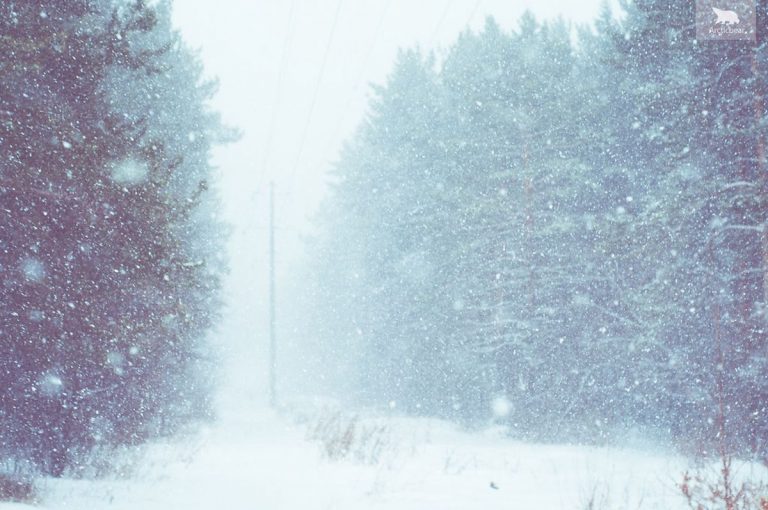 METEO – Ondata di MALTEMPO in arrivo, torna la NEVE sulle ALPI, ecco quando