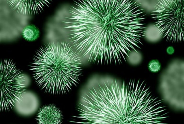E’ allarme per la presenza del super batterio New Dehli in un ospedale della Toscana