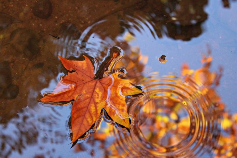 METEO AUTUNNO: prosegue l’estate settembrina, quali aggiornamenti per ottobre?