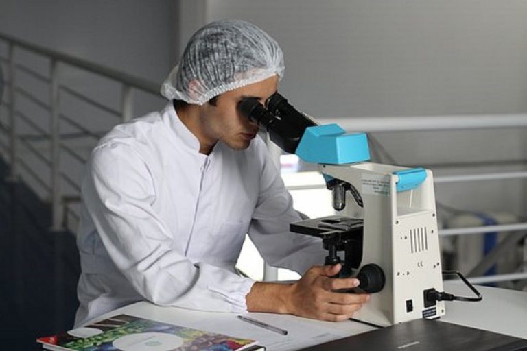 Una gomma da masticare potrebbe mandare ko il virus dell’Herpes: la nuova scoperta Una gomma da masticare potrebbe mandare ko il virus dell’Herpes: la nuova scoperta