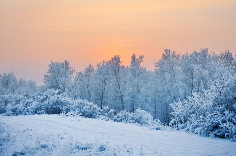 Meteo Mondo – Aria artica in discesa sugli Stati Uniti con temperature gelide e neve fino in pianura, anche su Chicago Meteo Mondo – Aria artica in discesa sugli Stati Uniti con temperature gelide e neve fino in pianura, anche su Chicago