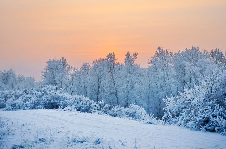 Meteo Mondo – Aria artica in discesa sugli Stati Uniti con temperature gelide e neve fino in pianura, anche su Chicago