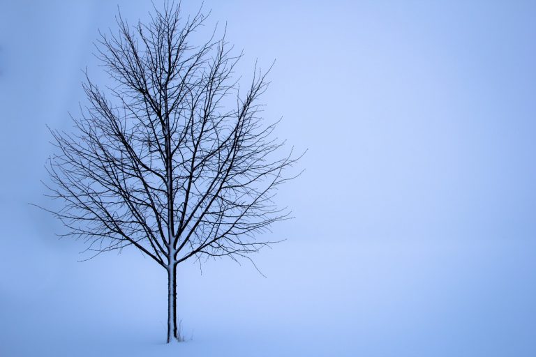 METEO – FEBBRAIO 1929, cronistoria di un crudo INVERNO, RIGIDO e NEVOSO, i dettagli