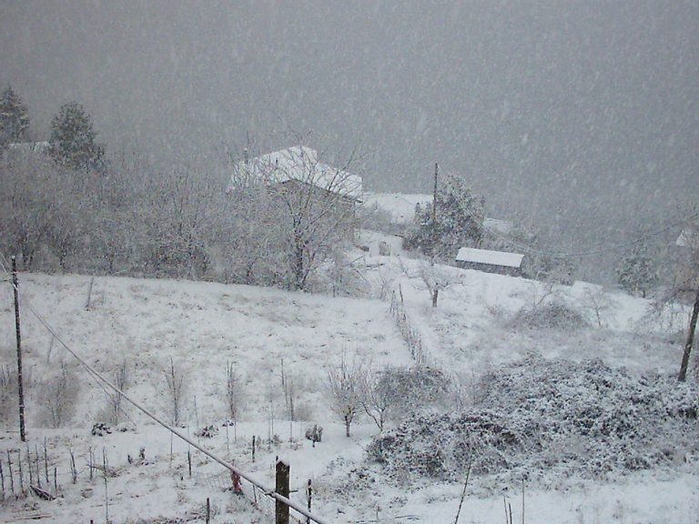 METEO – prima perturbazione invernale in vista per il modello GFS? Ecco quando METEO – prima perturbazione invernale in vista per il modello GFS? Ecco quando
