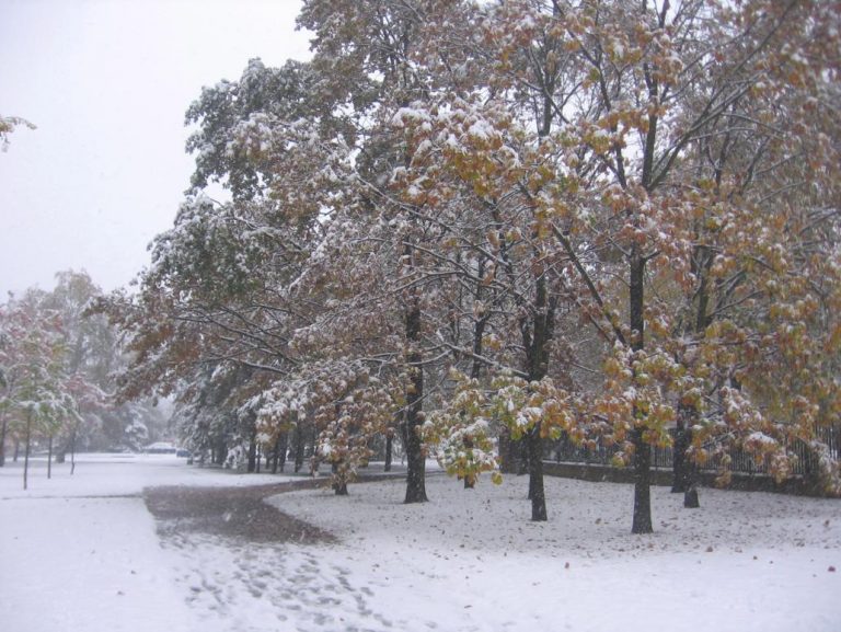 METEO – sferzata fredda in vista? Ecco quando potremmo avere un sensibile calo delle temperature