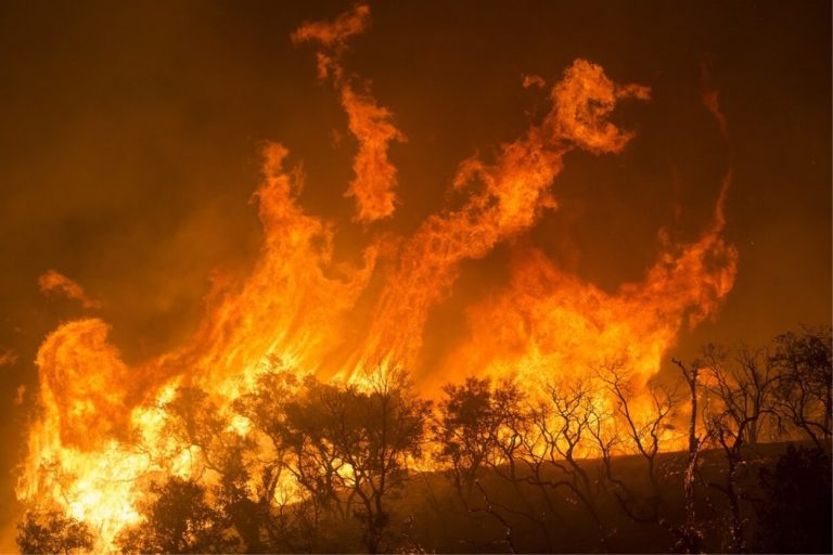 L’incendio sta distruggendo tutto, ci sono evacuazioni in corso di 50.000 persone. Foto e VIDEO di quanto sta avvenendo in California