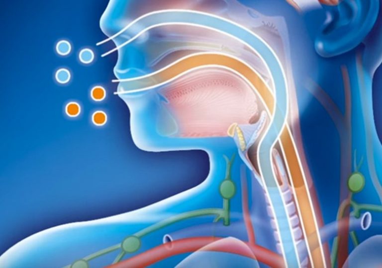 Influenza 2019, chi soffre di asma corre maggiori rischi: ecco i motivi