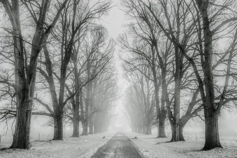 METEO ITALIA – CAMBIA TUTTO, con l’ONDATA di MALTEMPO in arrivo torna anche la NEVE, ecco dove