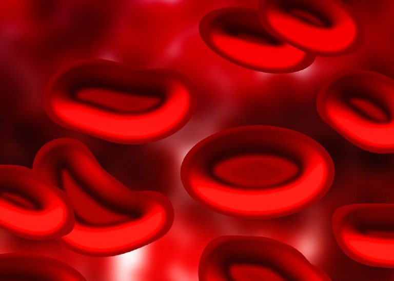 Malattie del sangue, mangiando questi tre alimenti possiamo tenerle lontane