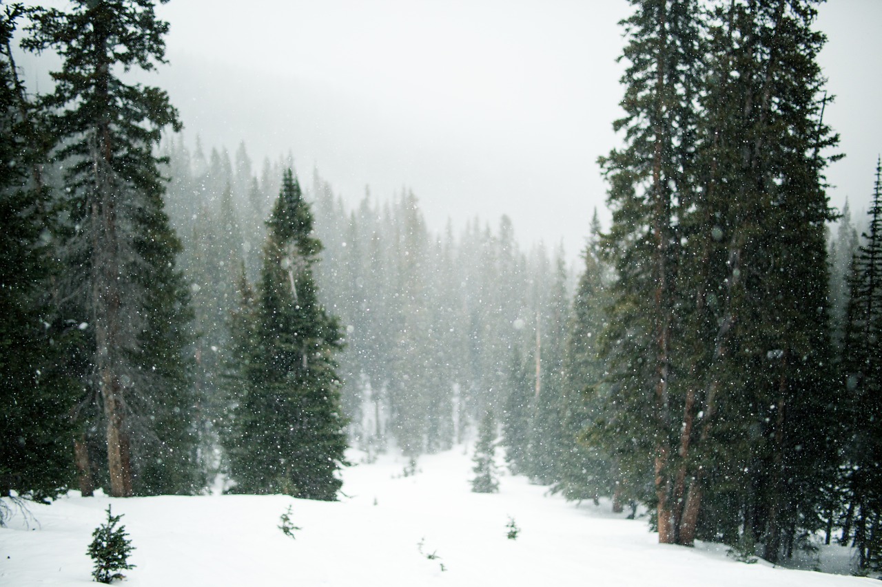 Neve, immagine di repertorio fonte Pixabay.