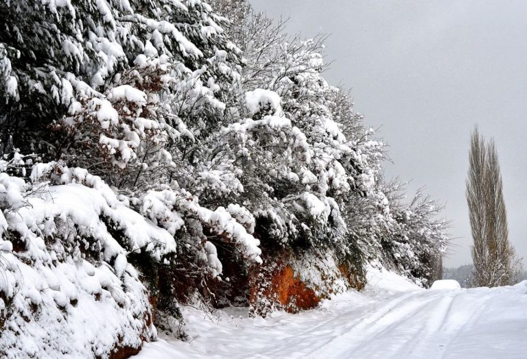 METEO ITALIA – Sulle Alpi si è abbattuto un vero e proprio SNOW STORM, VIDEO della BUFERA di NEVE a Madonna di Campiglio METEO ITALIA – Sulle Alpi si è abbattuto un vero e proprio SNOW STORM, VIDEO della BUFERA di NEVE a Madonna di Campiglio