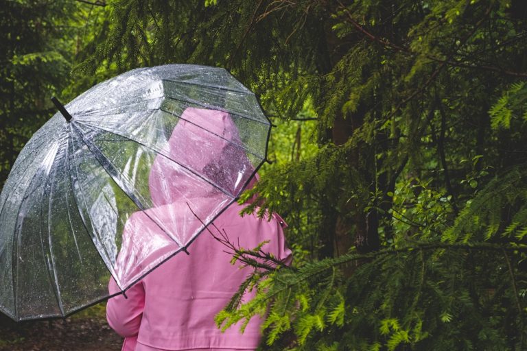 METEO – Il MALTEMPO si sposta al centro-sud, clima FRESCO e AUTUNNALE in ITALIA, ecco l’evoluzione delle prossime ore METEO – Il MALTEMPO si sposta al centro-sud, clima FRESCO e AUTUNNALE in ITALIA, ecco l’evoluzione delle prossime ore