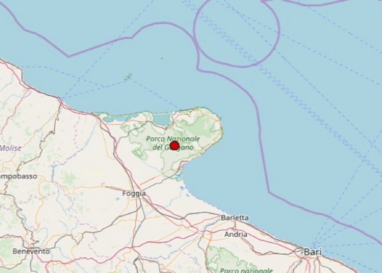 Terremoto in Puglia oggi, 14 novembre 2019: scossa M 2.2 in provincia di Foggia – Dati INGV Terremoto in Puglia oggi, 14 novembre 2019: scossa M 2.2 in provincia di Foggia – Dati INGV