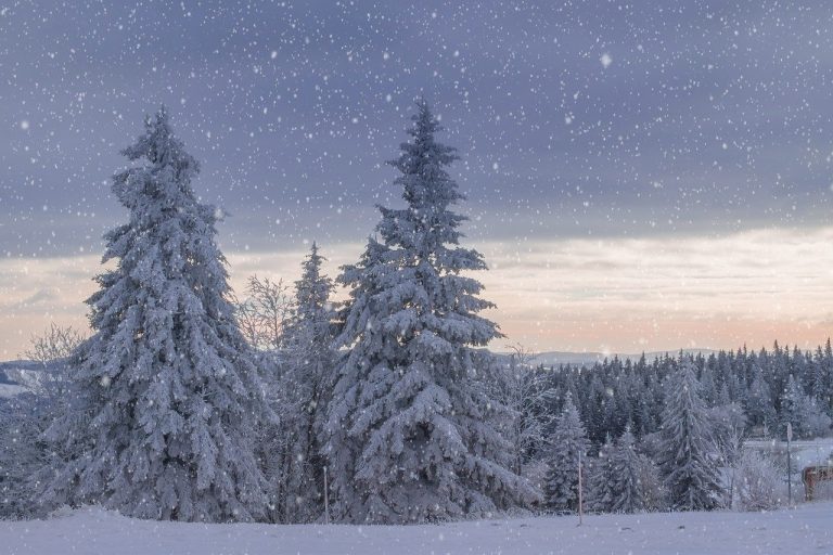 METEO INVERNO 2019-2020: vediamo la tendenza aggiornata per la stagione ormai alle porte METEO INVERNO 2019-2020: vediamo la tendenza aggiornata per la stagione ormai alle porte