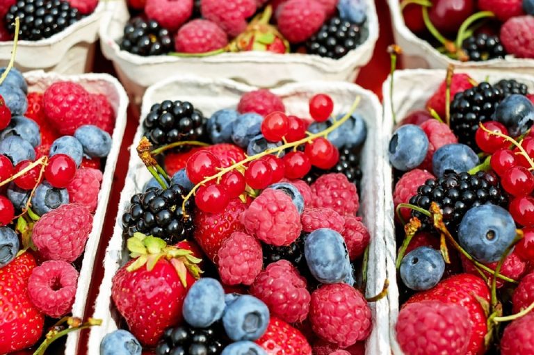 Dieta della frutta, ecco quali sono i frutti che fanno perdere peso