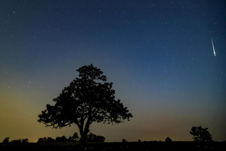 Prima cometa interstellare nel cielo di Natale: ecco come e quando osservarla