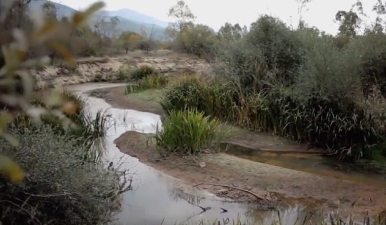 Macedonia, il lago Prespa rischia di scomparire: emergenza climatica, ecco le cause e le possibili conseguenze di questo fenomeno