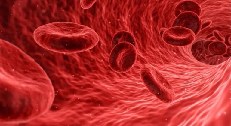 Uno studio ha identificato il gene responsabile dei livelli alti di colesterolo nel sangue