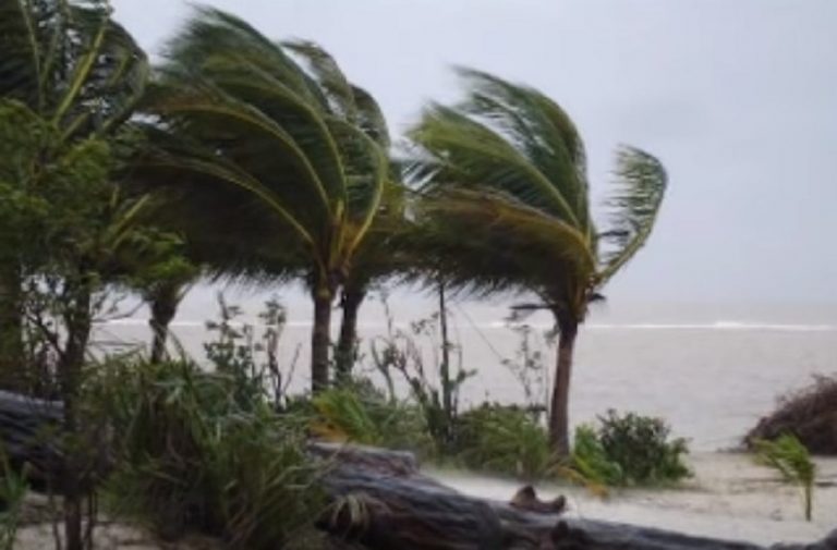 Forti raffiche di vento ad oltre 100 km/h stanno flagellando Palermo: alberi abbattuti e gravissimi danni