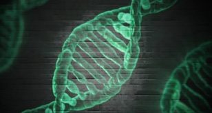 Dna
