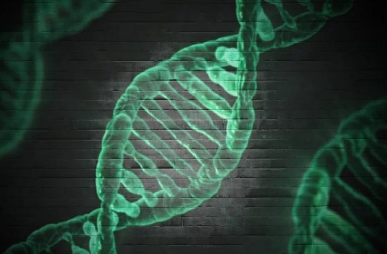 Scoperta mutazione genetica legata a morte improvvisa: ecco lo studio condotto sulla comunità di Caposele