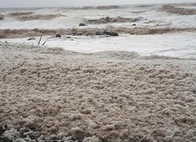 METEO – Forti venti e MAREGGIATE colpiscono la Puglia: SCHIUMA dal mare invade le strade a Mola di Bari