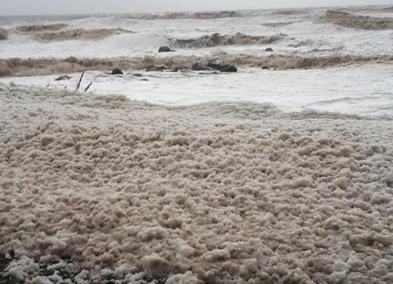 METEO – Forti venti e MAREGGIATE colpiscono la Puglia: SCHIUMA dal mare invade le strade a Mola di Bari METEO – Forti venti e MAREGGIATE colpiscono la Puglia: SCHIUMA dal mare invade le strade a Mola di Bari