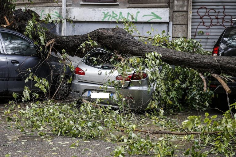 Meteo – Venti di tempesta sull’Italia, numerosi alberi caduti e centinaia di chiamate ai Vigili del Fuoco; i dettagli
