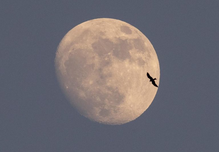 La superficie della Luna potrebbe fulminare gli astronauti: lo studio